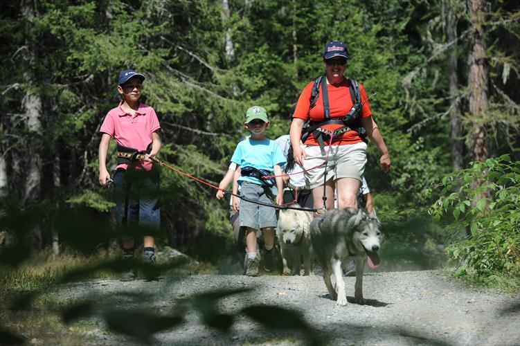Nidhal et Antoine accompagnent Sylvie dans cette promenade.