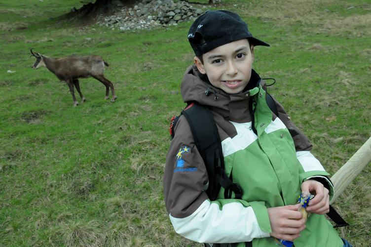 Un chamois ! Ou ça ?
