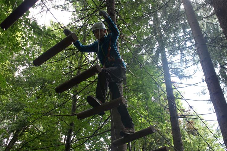 Nous sommes les rois de la forêt!