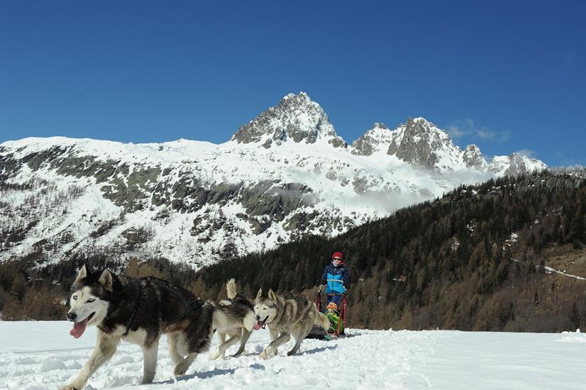 Thomas et Tugdual, mushers hors pair !!!