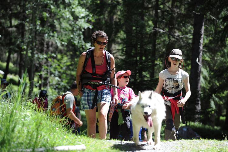 Cette journée animalière sera inoubliable pour nos champions!