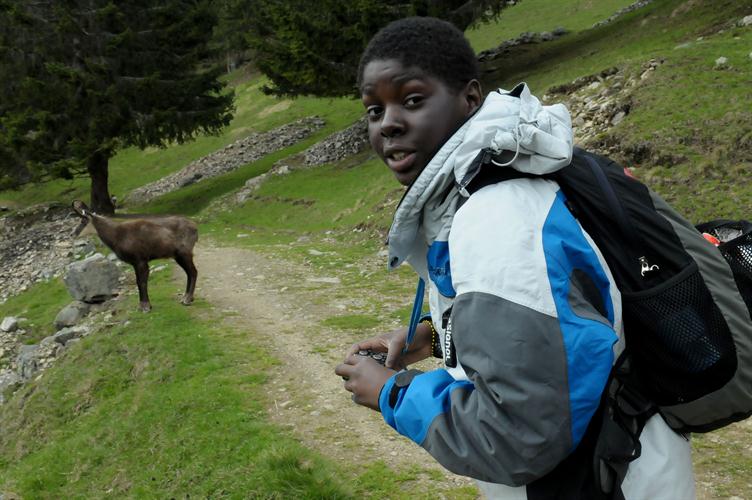J’hallucine ou y’a bien un Chamois devant moi ?