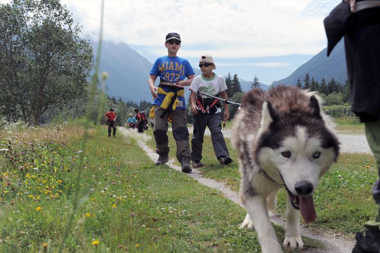 Je crois que le husky a repéré le photographe...
