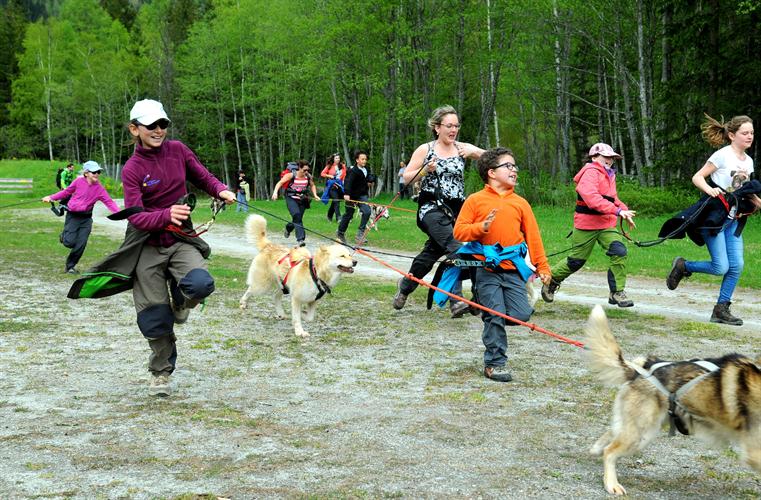 Pour conclure cette journée fantastique, grande course de cani-randonneurs ! Inédit !!!