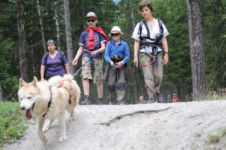 Attention à la descente!