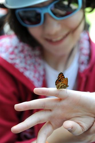 Et un joli papillon vint se poser sur la main de Pauline...