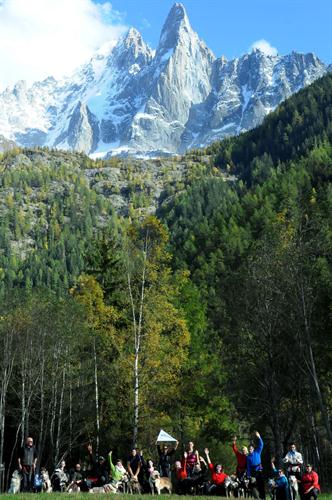 Pour finir cette canirando, petite photo de groupe sous les Drus !