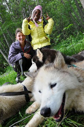 Encore un grand merci à nos jolis huskies!