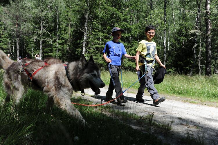 Les enfants au soleil, et les chiens à l