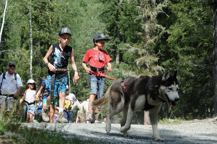 Super conduite les garçons, on va pouvoir vous délivrer votre permis de conduire des huskies!
