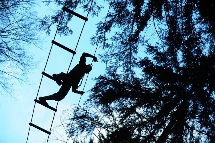 En clair-obscur dans les altitudes, Tom !