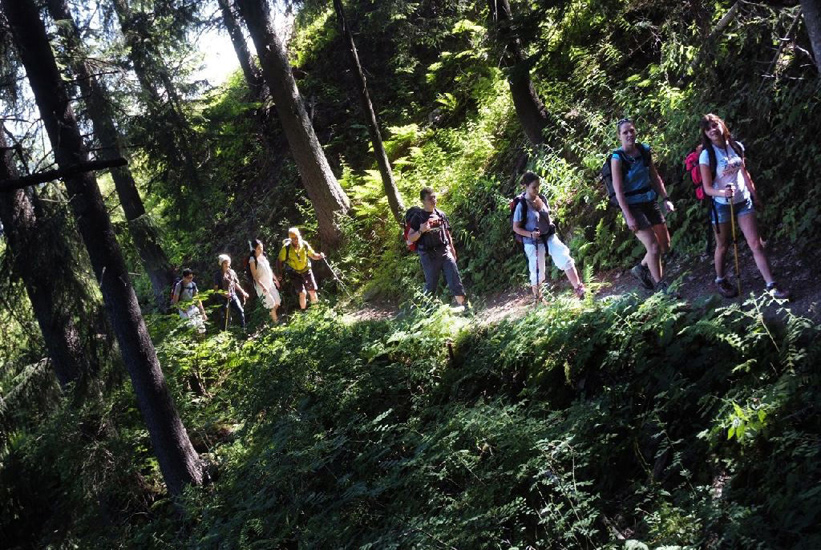 Départ au frais, en sous-bois et en file indienne !