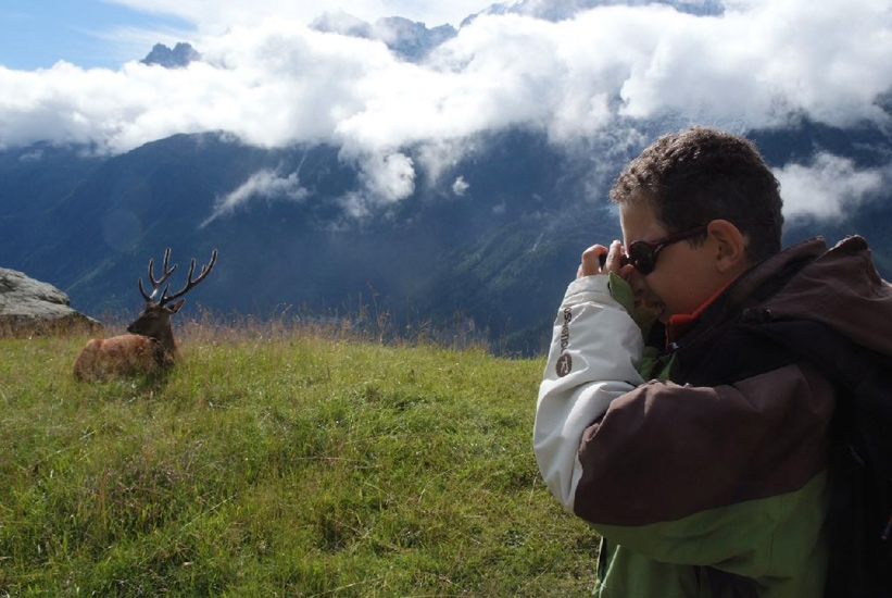 Et qu’est-ce qu’on est venu voir à Merlet ? Des animals ! (Bastien)
