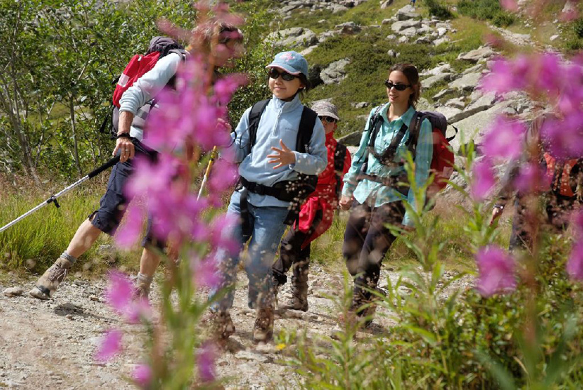 On rencontre de belles fleurs dans les montagnes !