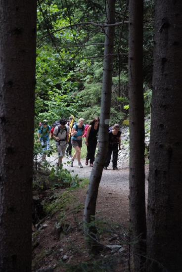 Les feuillages des sous-bois rafraîchissent heureusement l’air passablement tiède !