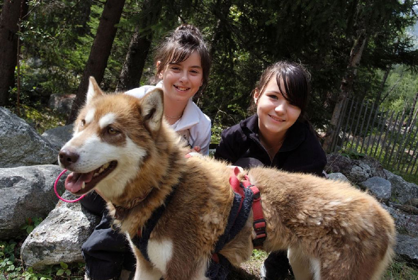 On change d’animaux, place aux huskies cet après-midi !