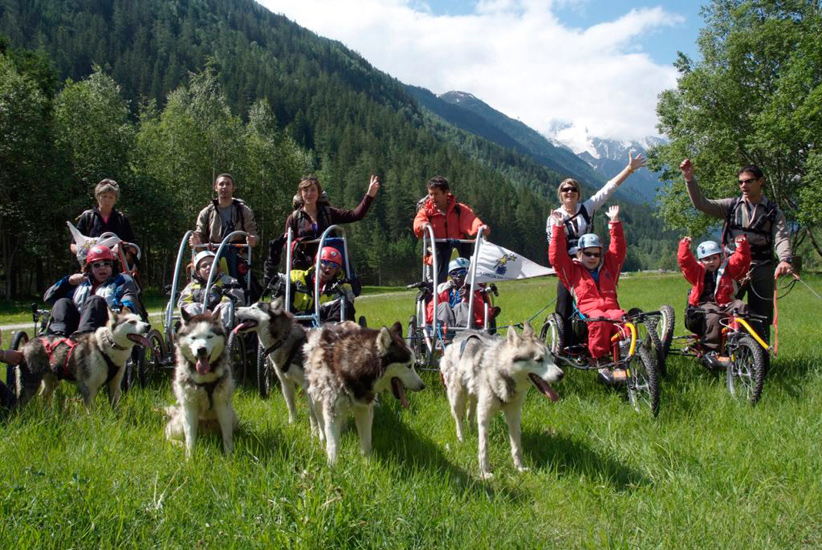 Aujourd’hui, les chiens promènent les enfants, c’est le monde à l’envers !
