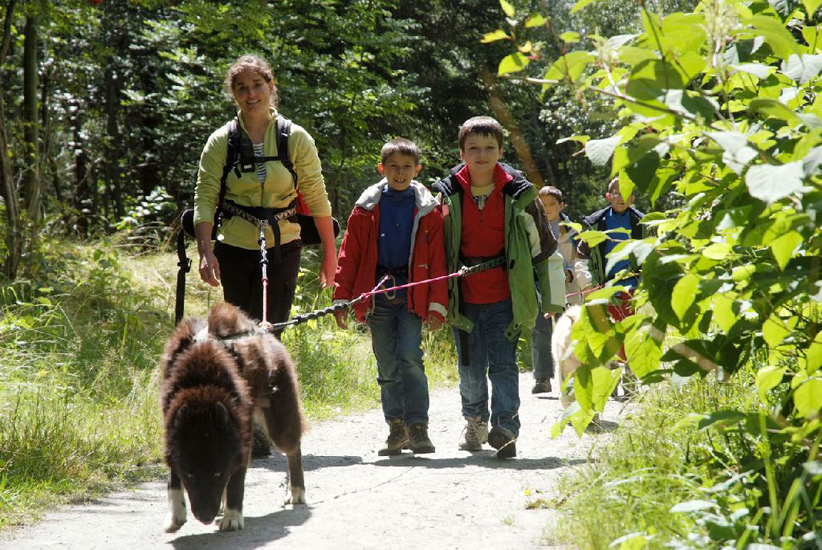 On se replonge dans la forêt, en suivant le guide !