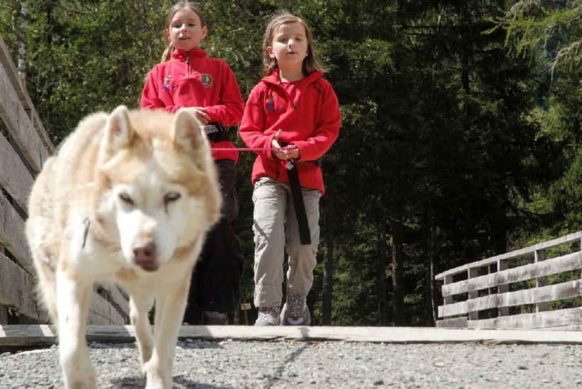 Husky nautique pour les filles, avec l’élégance !