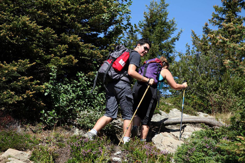 On est bien dans la forêt chamoniarde…