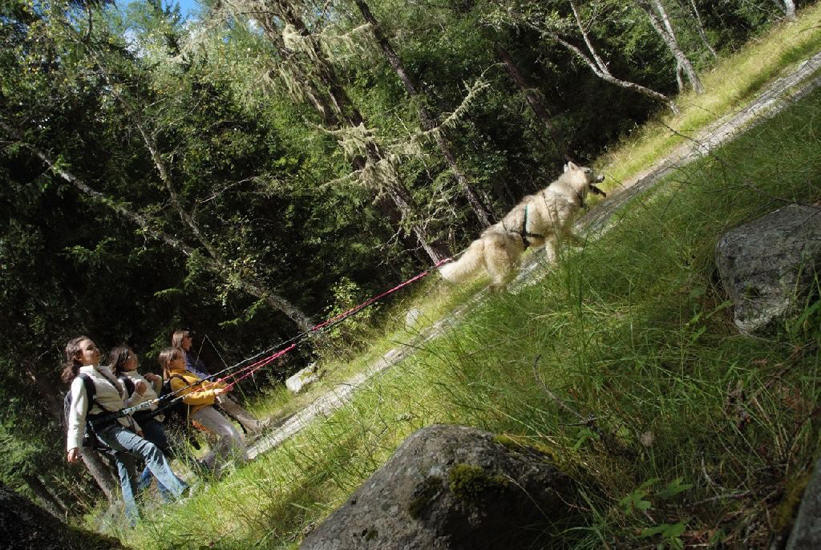 Bien sanglés, biens concentrés, on avance à un rythme… soutenu !