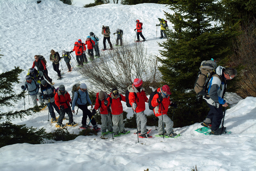Et on commence directement à serpenter entre les arbres, pas de round d’observation aujourd’hui !