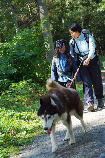 Le principe est simple : on s’accroche au chien, et on le suit !