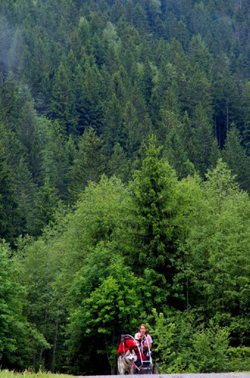 Top départ dans le bois du Bouchet ! Attention, ça déménage ! (Bibi et Claudine)