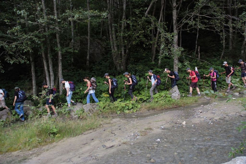 En bordure de forêt, tous en avant vers la langue du glacier !