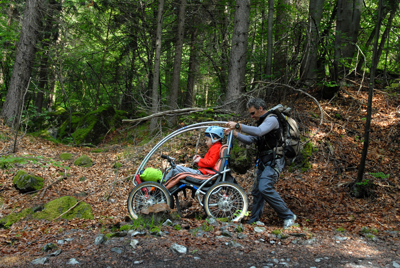 Louis savoure les sous bois