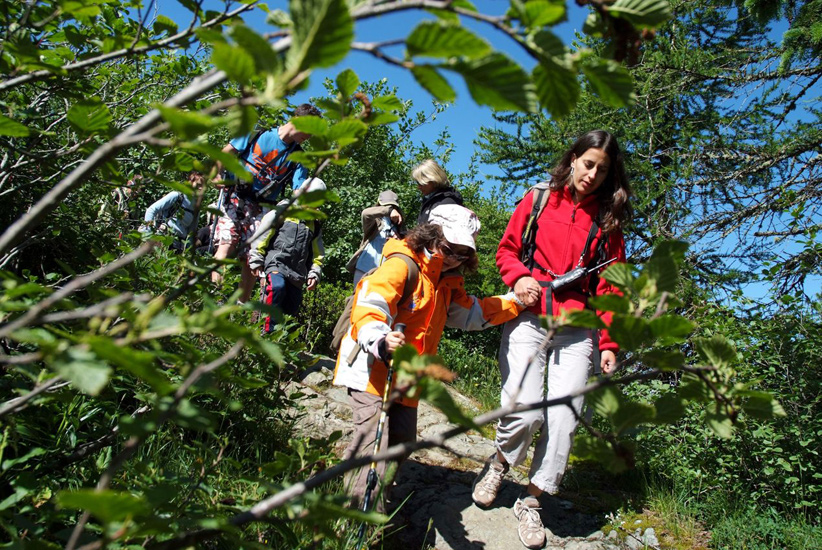 La première partie du sommet se fait dans les bois et Mathilda mène la course !