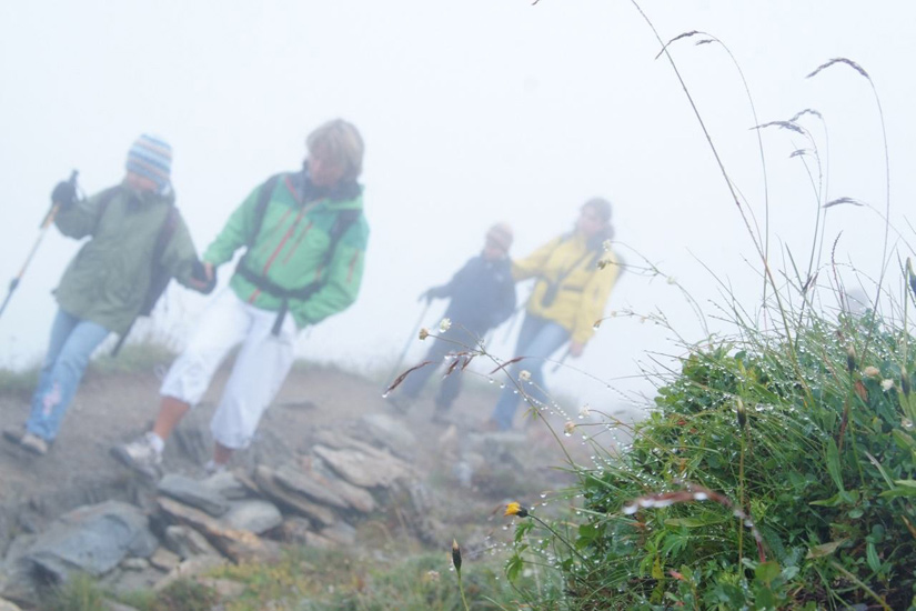 Pas encore de soleil mais des petites figures en sentier !