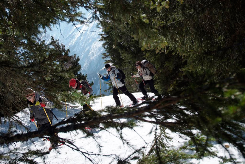 La première portion de ce sommet nous promène dans la forêt, il faut s’accrocher !