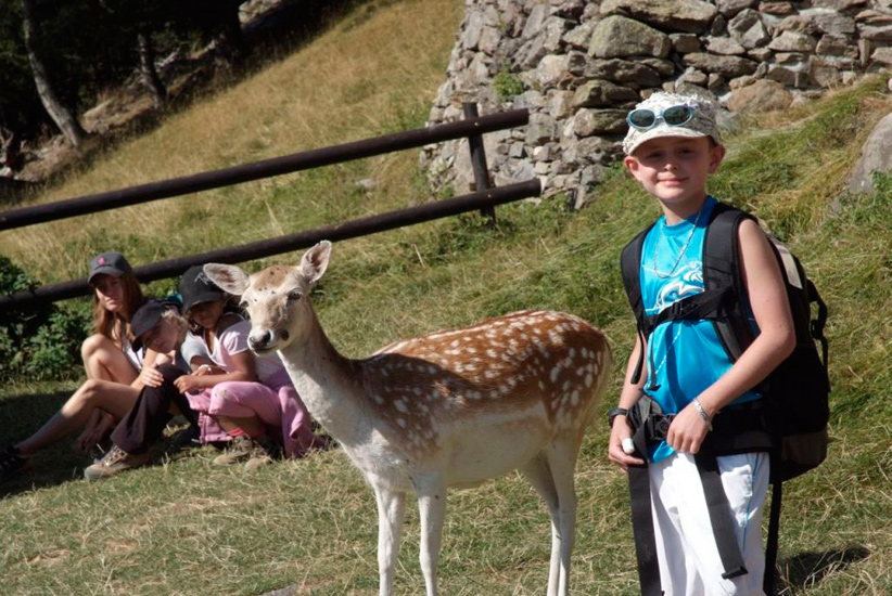 Accueil animal et princier dès nos premiers pas ! Quelle surprise !