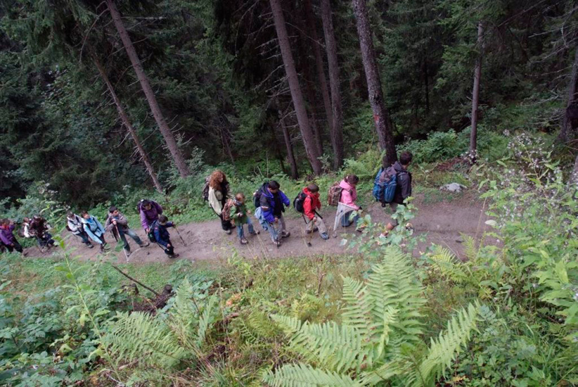 En file indienne, nous évoluons calmement sur le sentier qui mène au Tour !