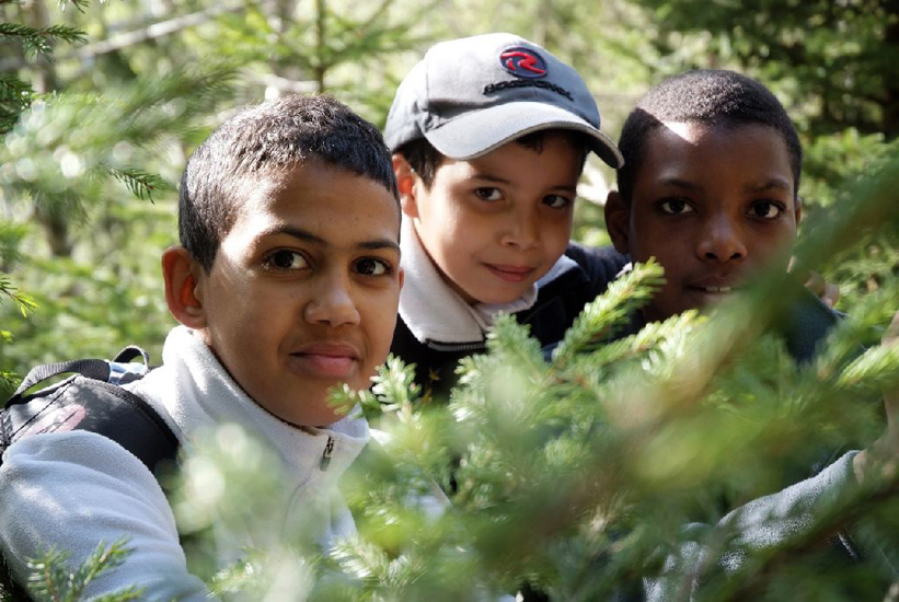 Champions au milieu des arbres.