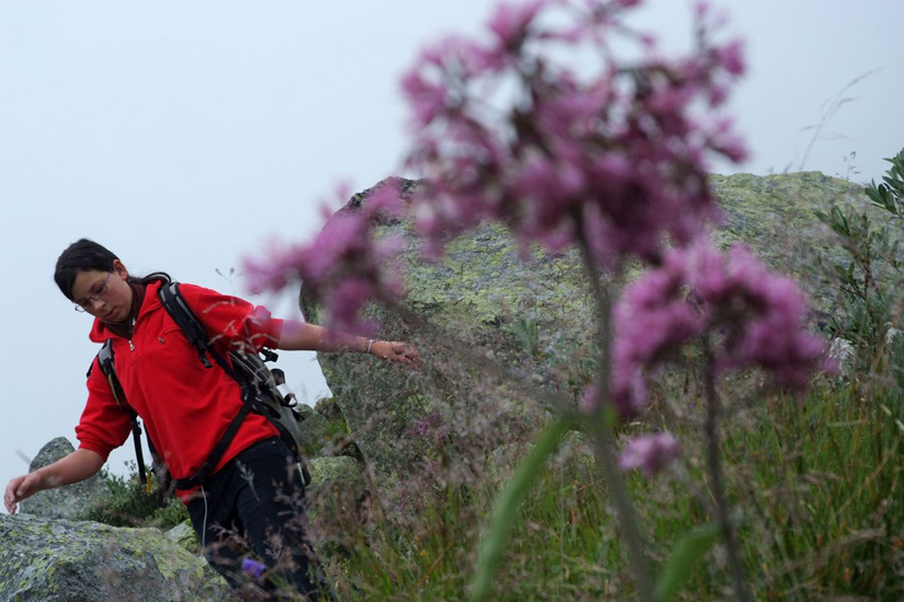 Pas le temps pour la cueillette des fleurs Lydwine, elle trace !