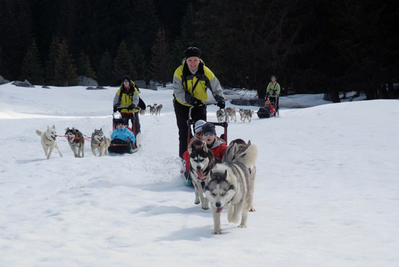 C’est parti, on peut lâcher les huskies…et les traîneaux !