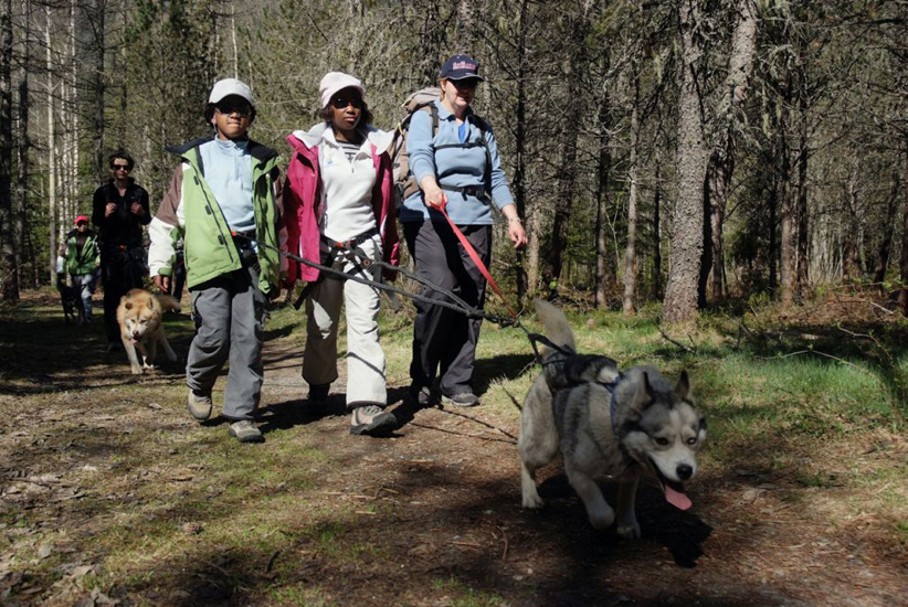 Promenons nous dans les bois, pendant que les huskies sont là ! (Gaëlle et Bilitis)