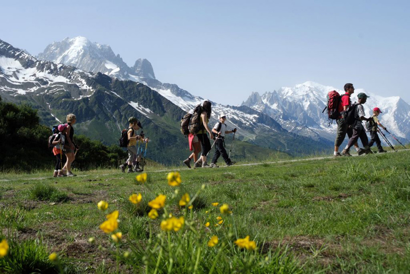 Les petites fleurs, les grandes montagnes, tout est beau ici !