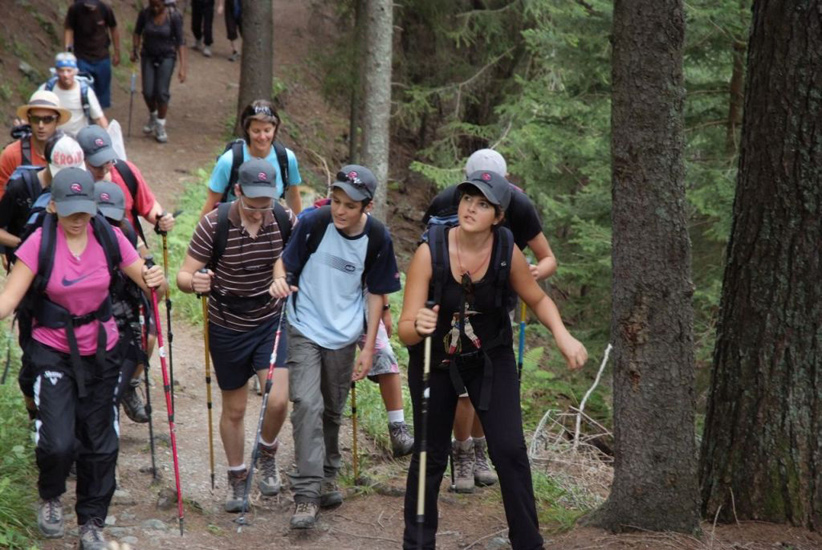 Retour en forêt ! Programme : ascension !