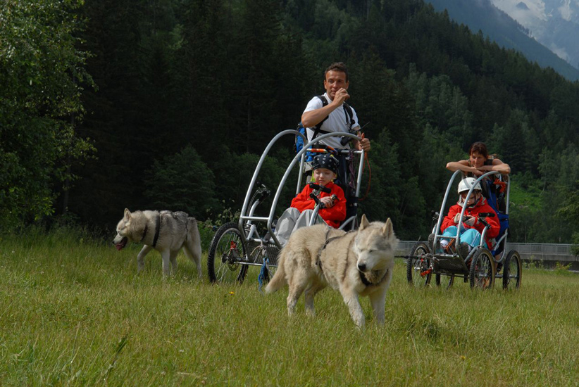 Chacun cherche son chien