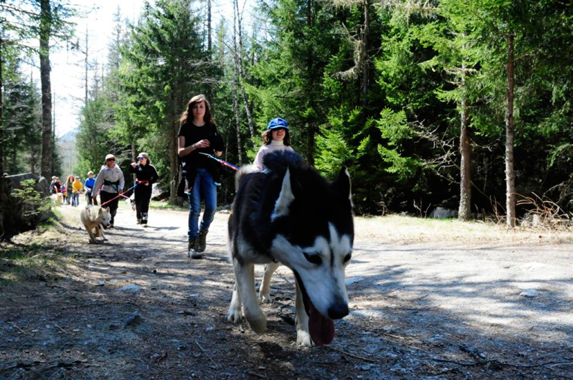 Jeunes filles et huskie de 12 ans d’âge ! En moyenne… (Aurélie et Maëva)