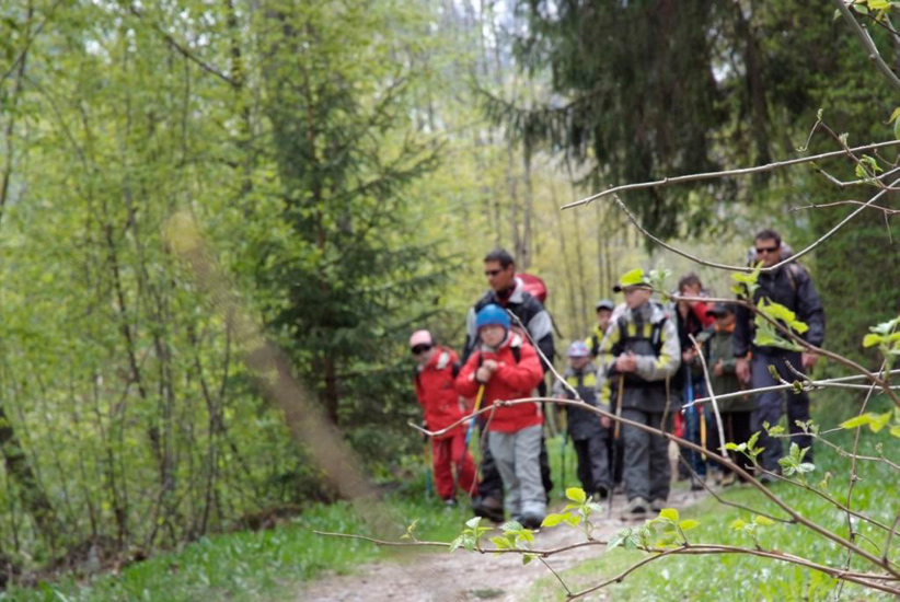 Démarrer au vert, pour continuer à marcher bio !