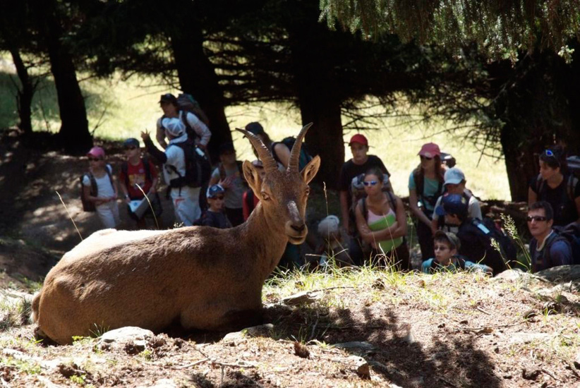 Et là c’est la rencontre ! 1ers yeux éberlués devant la proximité de cette nature sauvage…