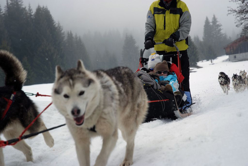 Premier passage aux stands pour Anna et Antoine, tout va bien jusqu’ici !