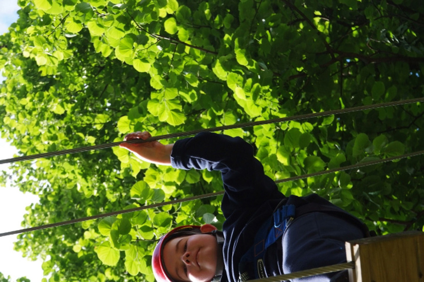 Rémi, en fanfare feuillue !