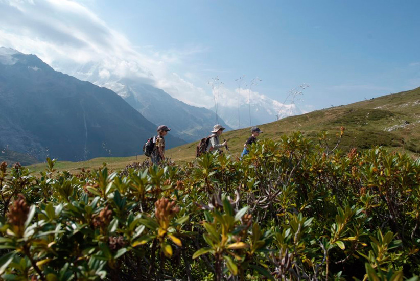 On est tout petit au milieu de la nature, mais on sera les plus grands en haut ! (Alexis, Manon et Pierre)