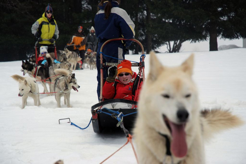 Dis donc Valentin, y’a ton husky qui me tire la langue !