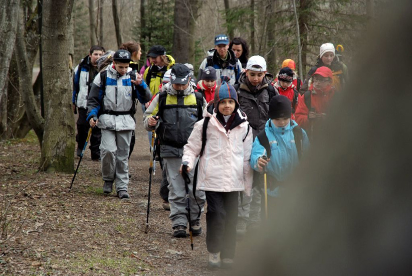 En route pour une promenade d’acclimatation, on va découvrir la forêt chamoniarde !